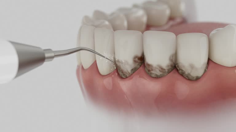 Reliable Dental contractor in New Sarpy, LA by Dentist Open Now
